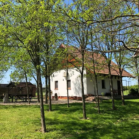 Apartment Mezeskalacs Vendeghaz Csongrad